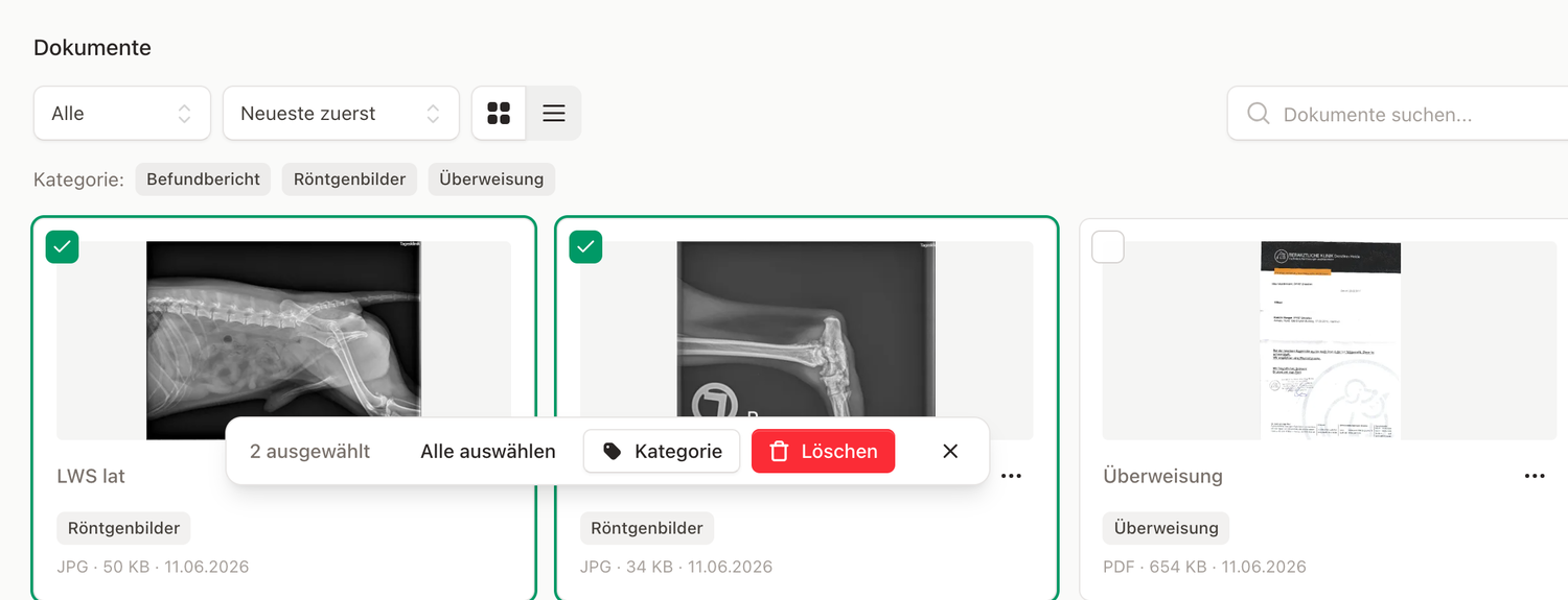 Mehrere Dokumente ausgewählt mit Aktionsleiste