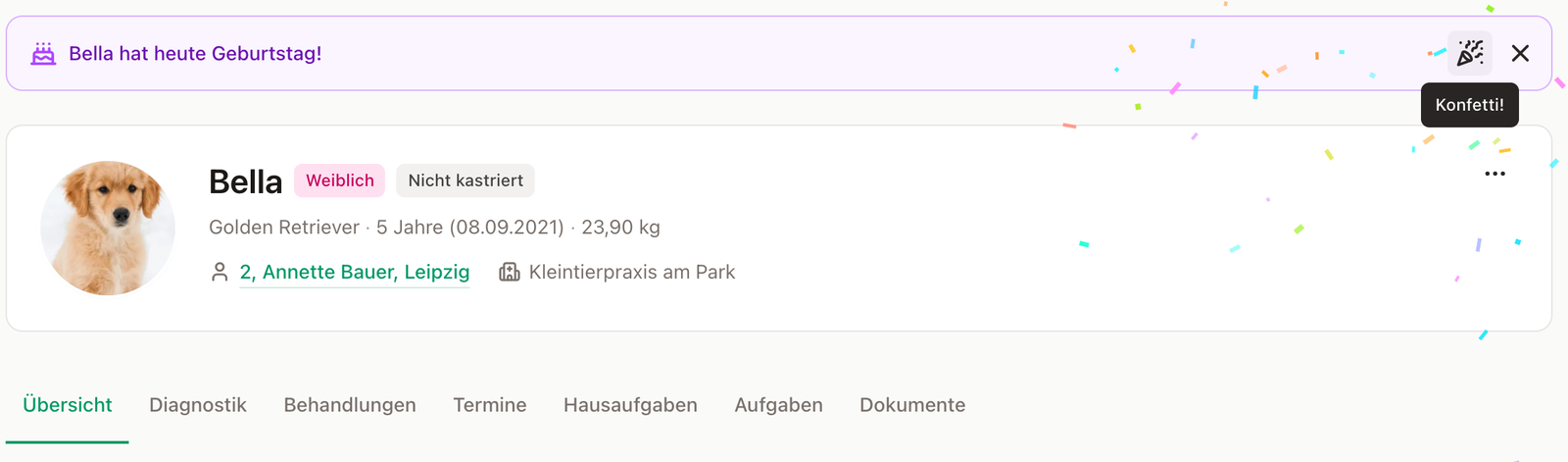 Archivgrund, bessere Filter und Geburtstage