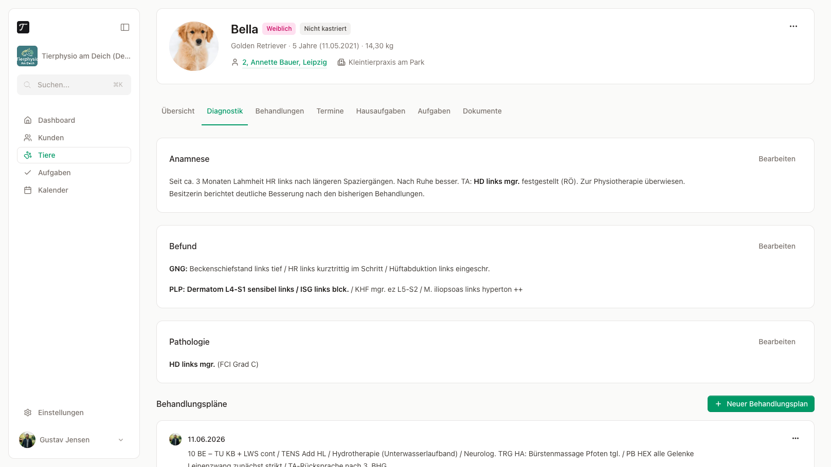 Der Tab Diagnostik mit Anamnese, Befund, Pathologie und Behandlungsplänen.