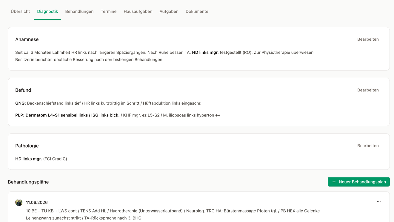 Anamnese, Befund und Behandlungsplan im selben Tab.