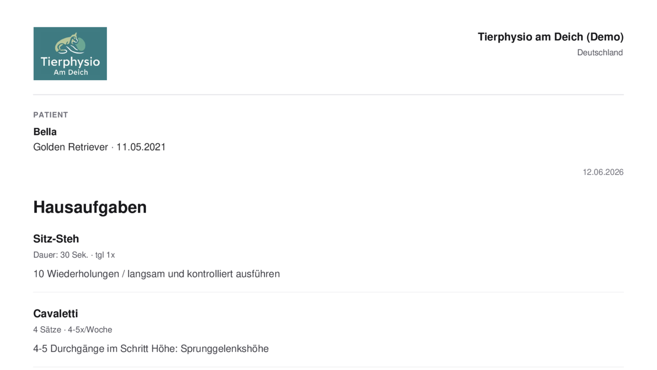 Als PDF exportierter Übungsplan mit Praxis-Logo für den Tierhalter