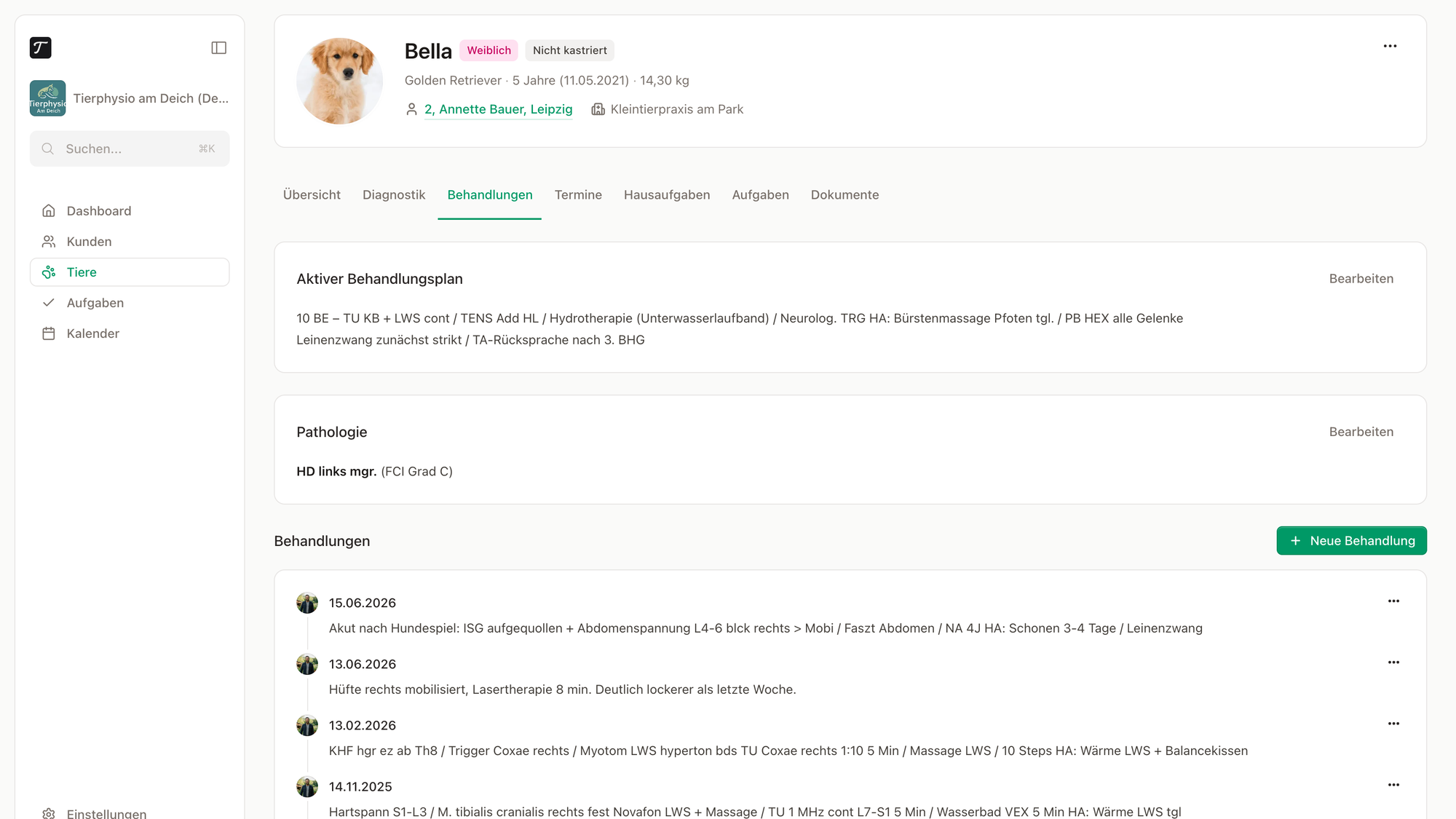 Behandlungshistorie mit aktuellem Behandlungsplan und Pathologie